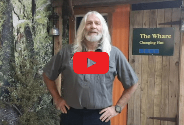 Swazi goes in lockdown