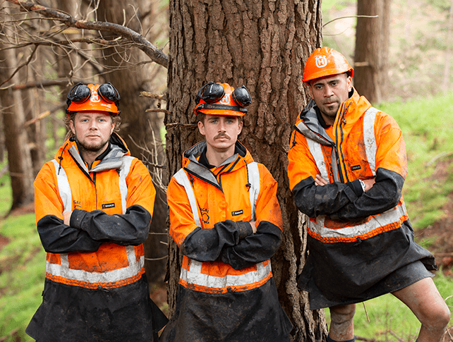 McDougall Logging Talks Swazi