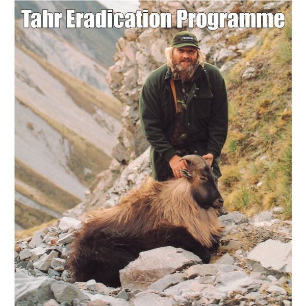 Tahr Eradication begins