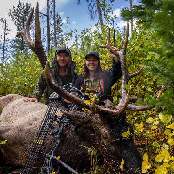 Hunting Elk/Wapiti In Wyoming U.S.A